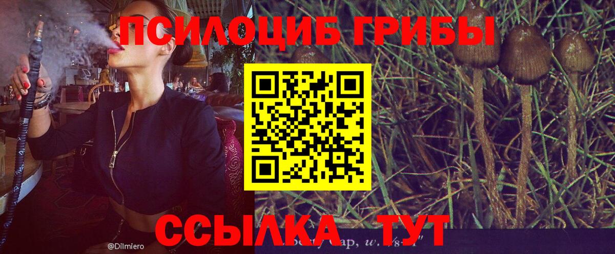Галлюциногенные грибы Magic Shrooms  Вход с VPN  Шадринск 